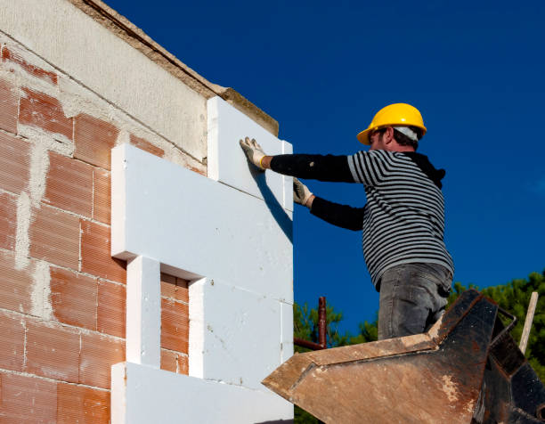 Best Eco-Friendly Insulation in Carter, TX