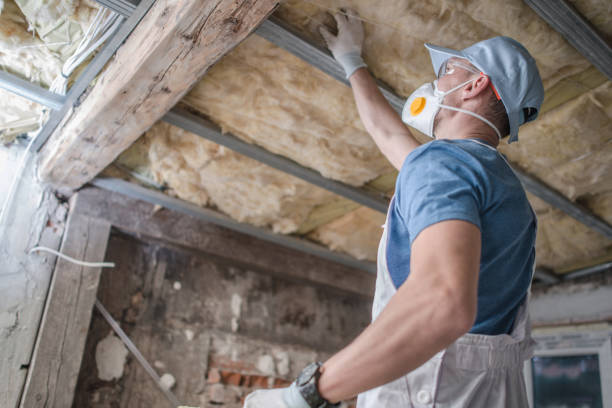 Best DIY Insulation Kits and Guidance in Carter, TX