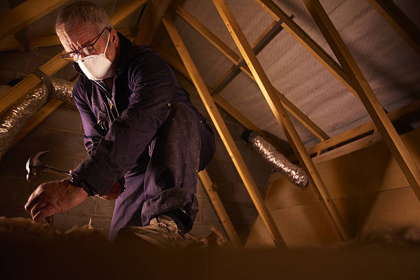 Best Cellulose Insulation in Carter, TX
